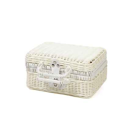 PP Woven Suitcase Storage Basket with Metal Lock and Handle